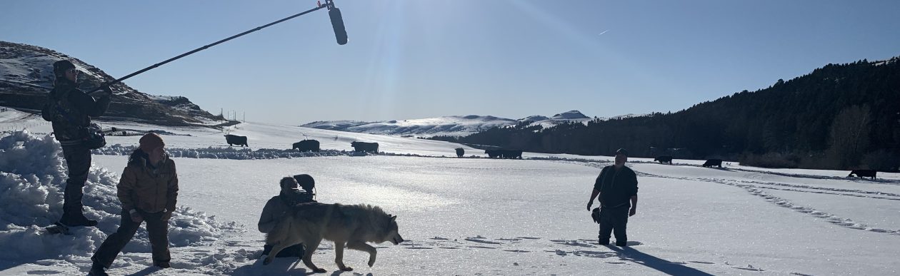 Location Sound Mixer, Montana