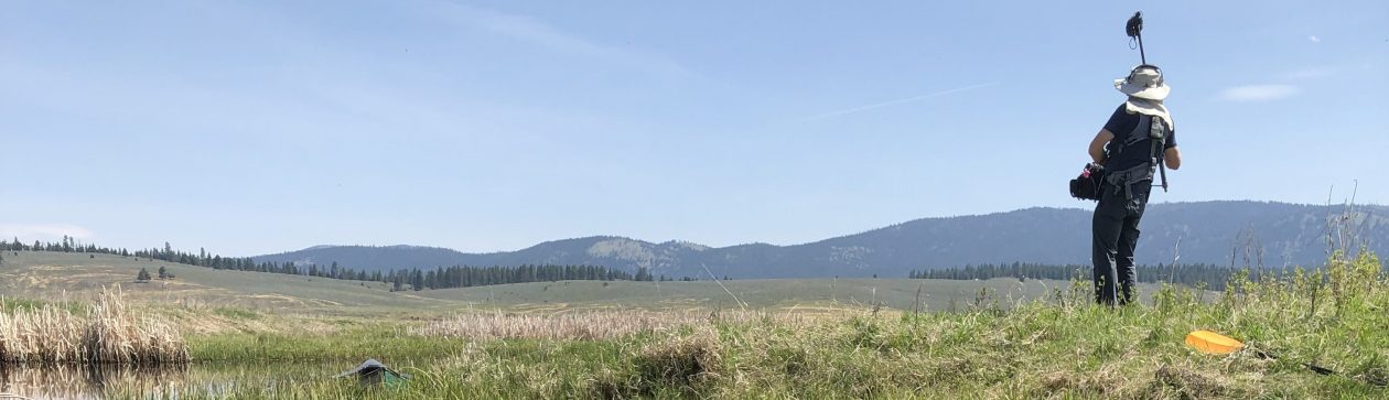 Location Sound Mixer, Montana